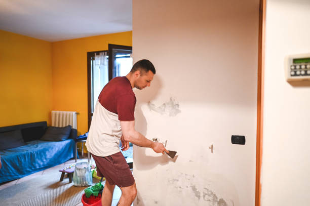 Best Mold Remediation for Schools in East Douglas, MA